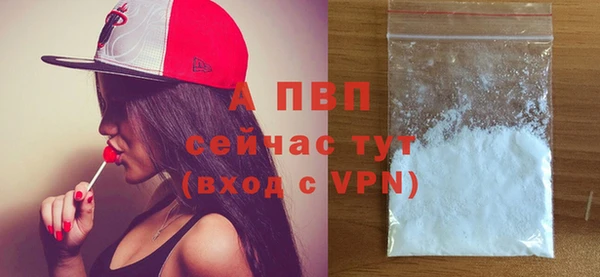 таблы Богданович