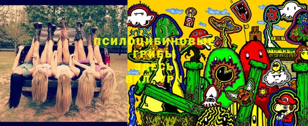 таблы Богданович
